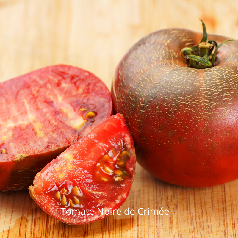 Tomate Noire de Crimée, variété ancienne au goût sucré et juteux, idéale pour la culture au potager. Conseils de plantation et entretien.